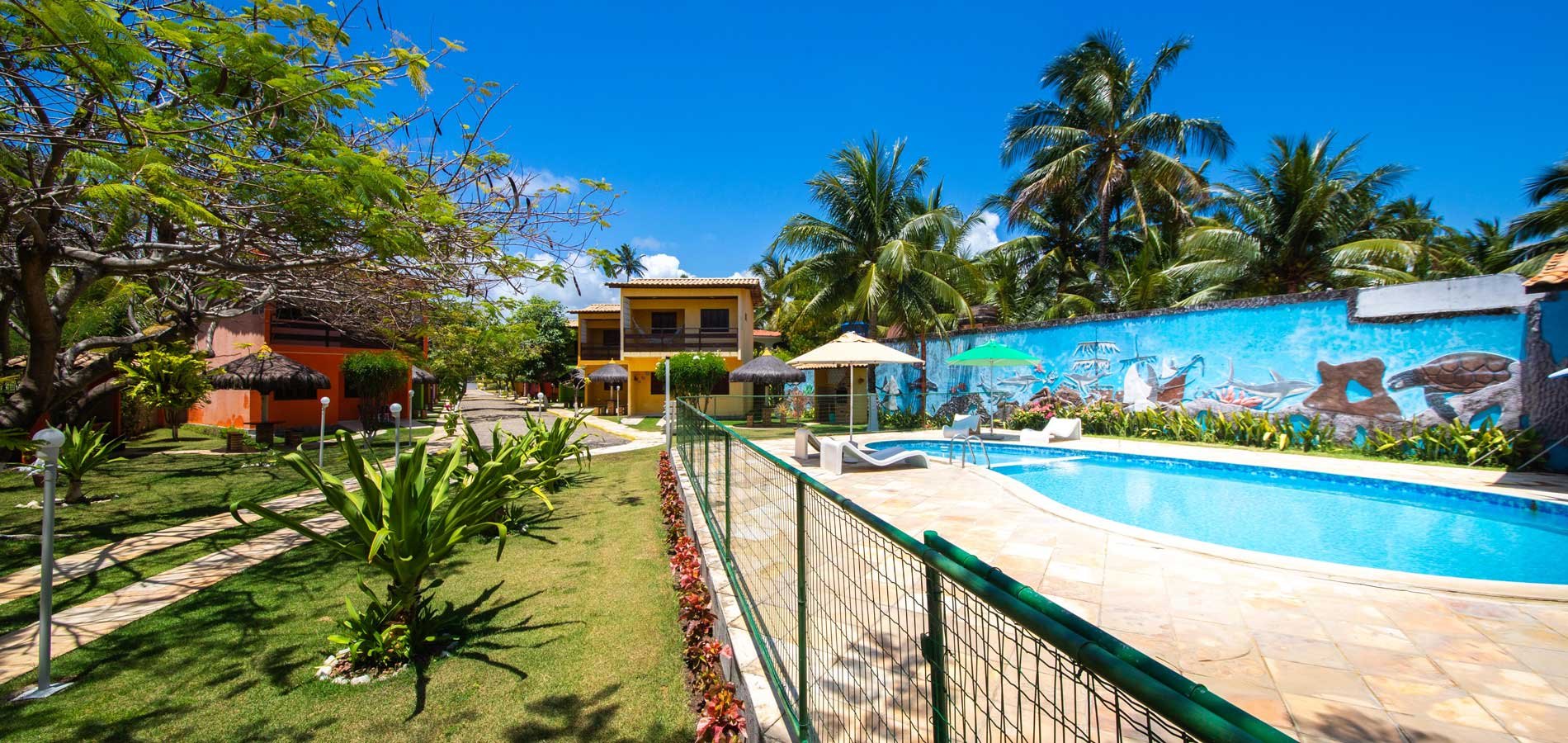 Vista aérea da piscina e do jardim cercados pela vegetação