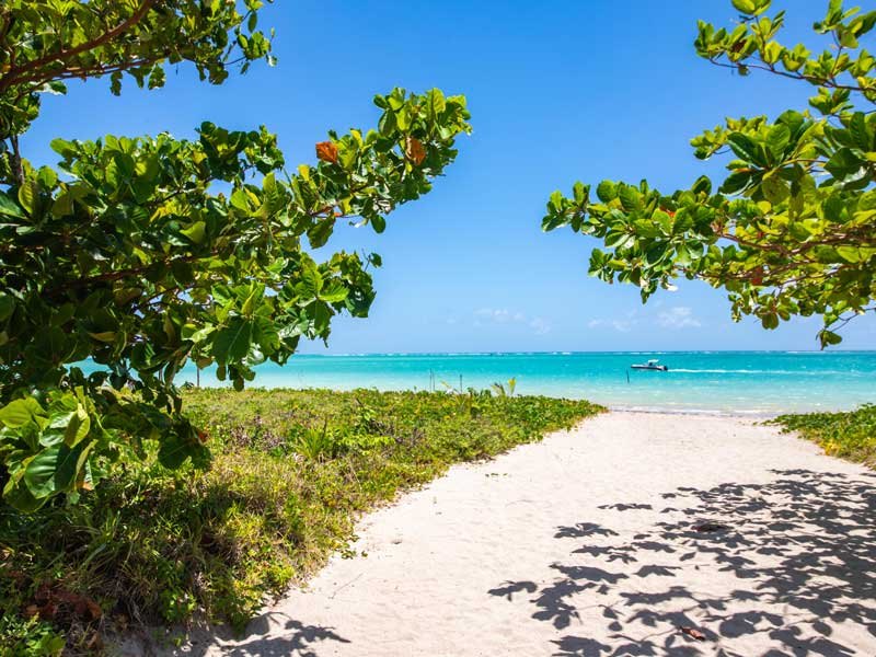 Praia de águas claras em Maragogi com os recifes ao fundo