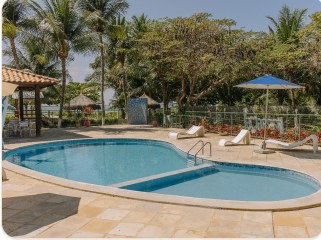 Piscina ao ar livre com espreguiçadeiras cercada por coqueiros